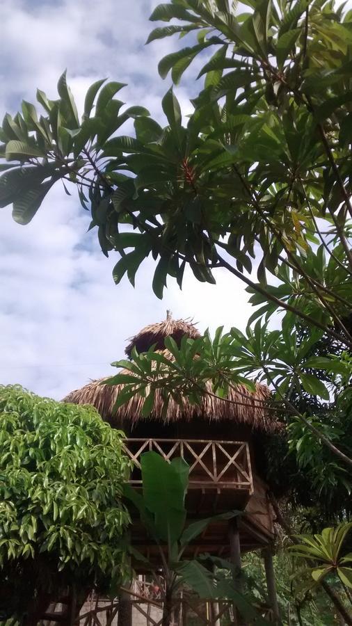 Posadas Ecoturisticas Seineken El Zaino Exteriér fotografie